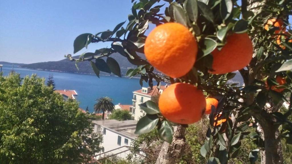 House Orange Apartments Herceg Novi Exterior foto