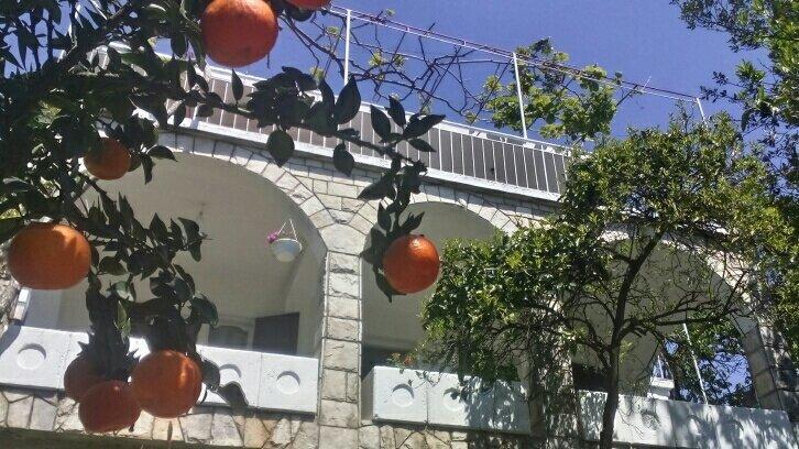House Orange Apartments Herceg Novi Exterior foto